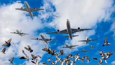 Air Traffic