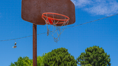 Basketball Bully
