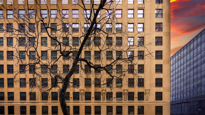 Branch Offices