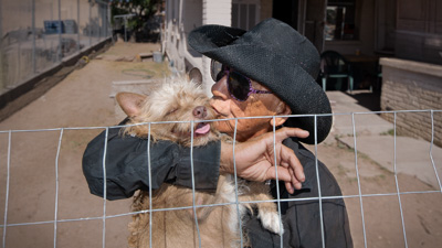 Dog Kissing