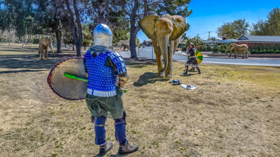 Elephant Uprising
