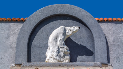 The Last Polar Bear