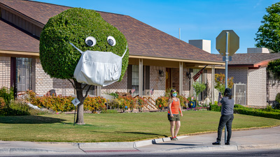 Pandemic Topiary