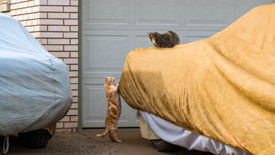 Romeo and Juliet