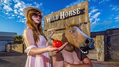 Wild Horse