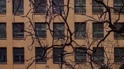 Branch Offices