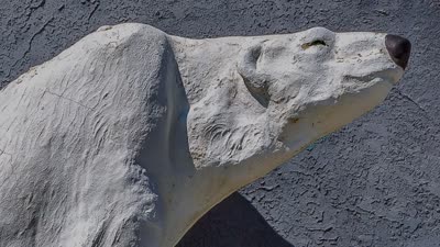The Last Polar Bear