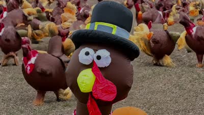 Turkey Ranch