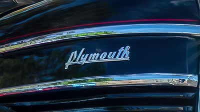 Plymouth Rocks