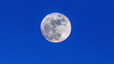 Ocotillo Moon